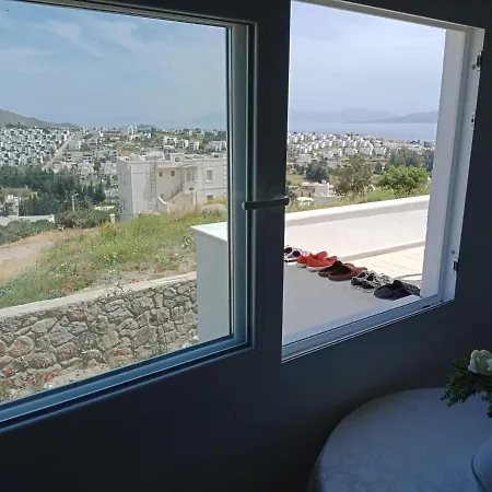 Bodrum Akyarlar Sea View Furnished Seasonal Villa For Rent
